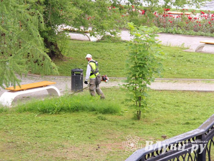 В Великих Луках сажают, стригут и красят (ФОТО)