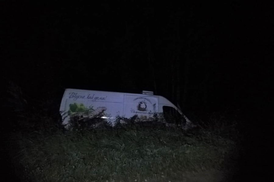 В Великолукском районе лось спровоцировал ДТП (ФОТО)