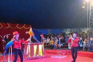 Великолучанка пожаловалась на цирк (ФОТО)