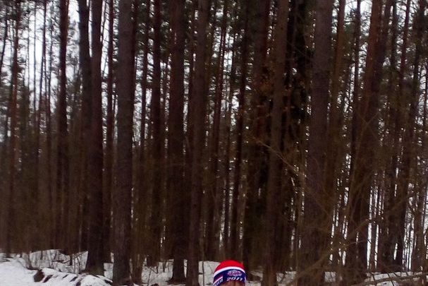 В Великолукском районе состоялось выполнение норматива ГТО по лыжным гонкам (ФОТО)