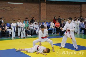 Великолучане стали победителями турнира по каратэ «Неприкосновенный запас, дети — Отчизны 2015» (фото)