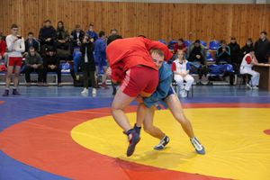 Всероссийские соревнования по самбо проходят в Великих Луках (ФОТО, 0+)