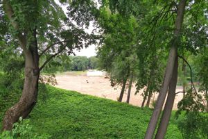 В парке «Петровском» появляются пешеходные дорожки (ФОТО)