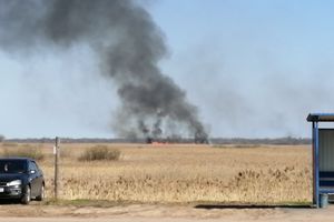 В Великих Луках вновь жгут траву (ФОТО)