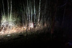 В ДТП под Себежем погибла семья (ФОТО)