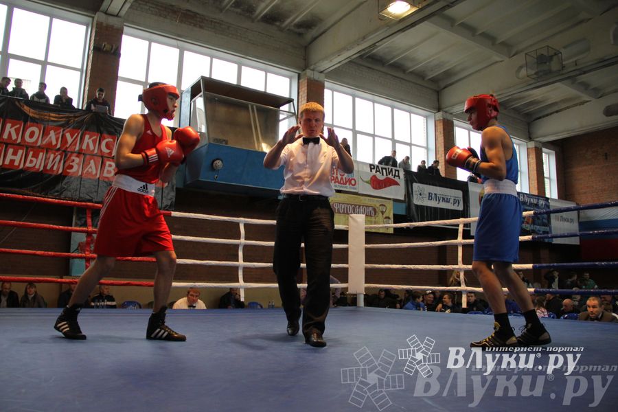 16-й Международный турнир по боксу (фото)