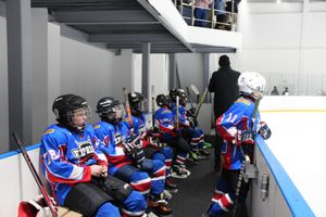 В Великих Луках прошел детский Открытый турнир по хоккею (ФОТО)