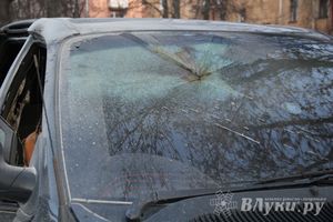 В Великих Луках подожгли автомобиль (фото)