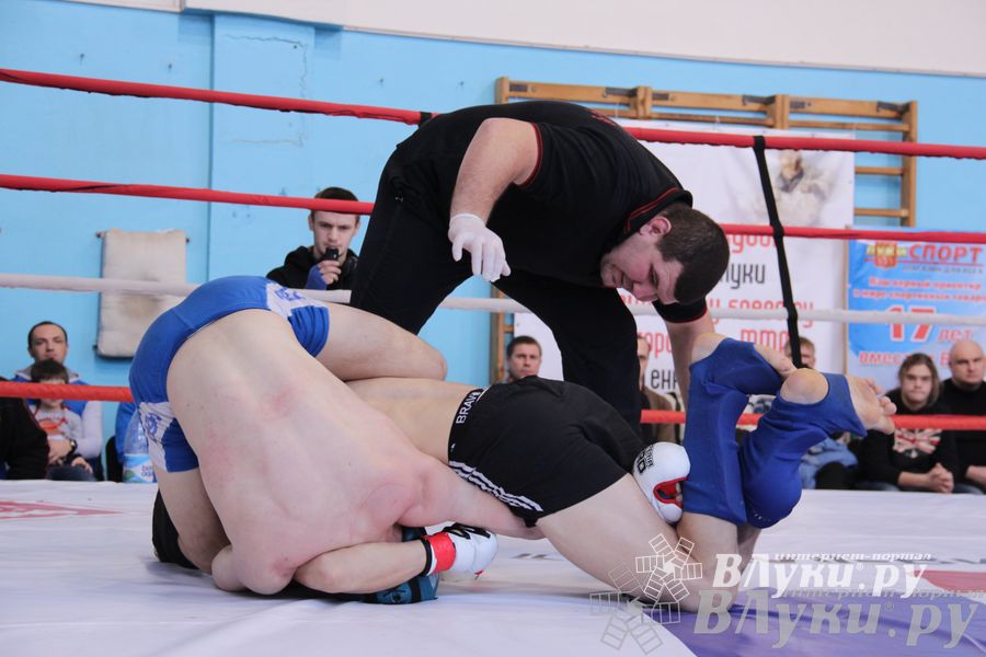 Открытый Кубок города Великие Луки по смешанному боевому единоборству (ММА)