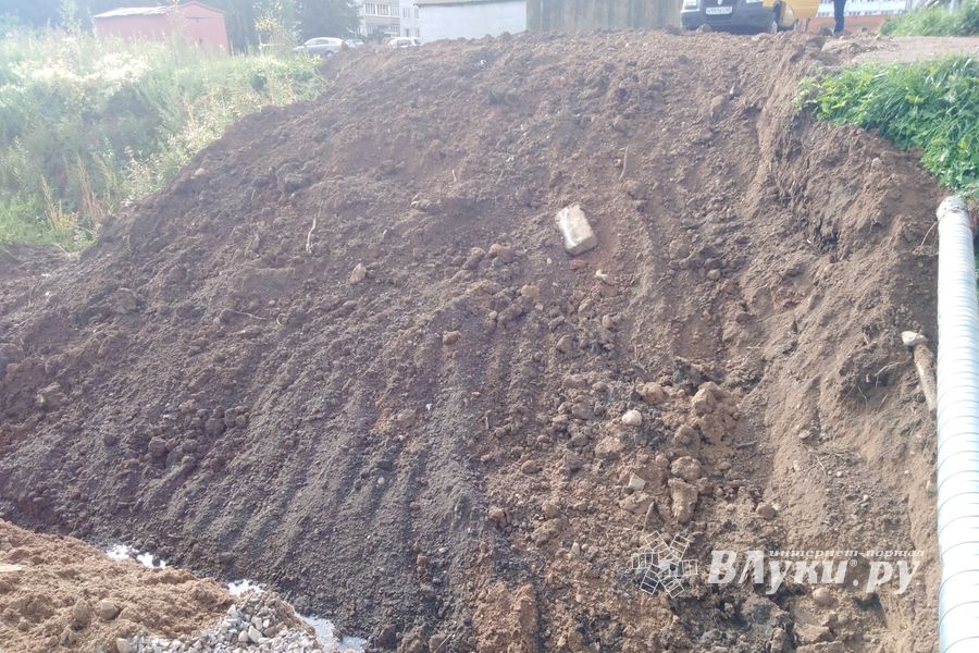 Великолукскую семью вновь превращают в робинзонов (ФОТО)