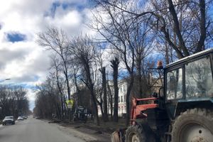 В Великих Луках очищают обочины улиц от снега и грязи (ФОТО)