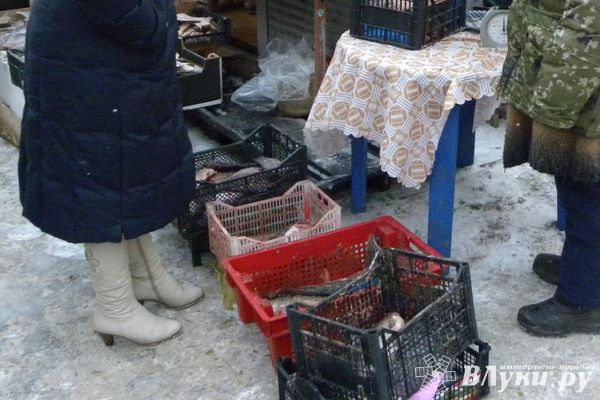На псковском рынке «Маяк» снова выявлена незаконная торговля водными биоресурсами (фото)