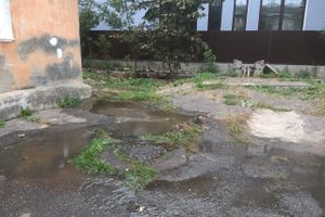 В Великих Луках забил «гейзер», по словам коммунальщиков, «рядовая ситуация» (ФОТО+ЗВУК)