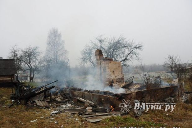 В деревне под Невелем сгорел дом (фото)