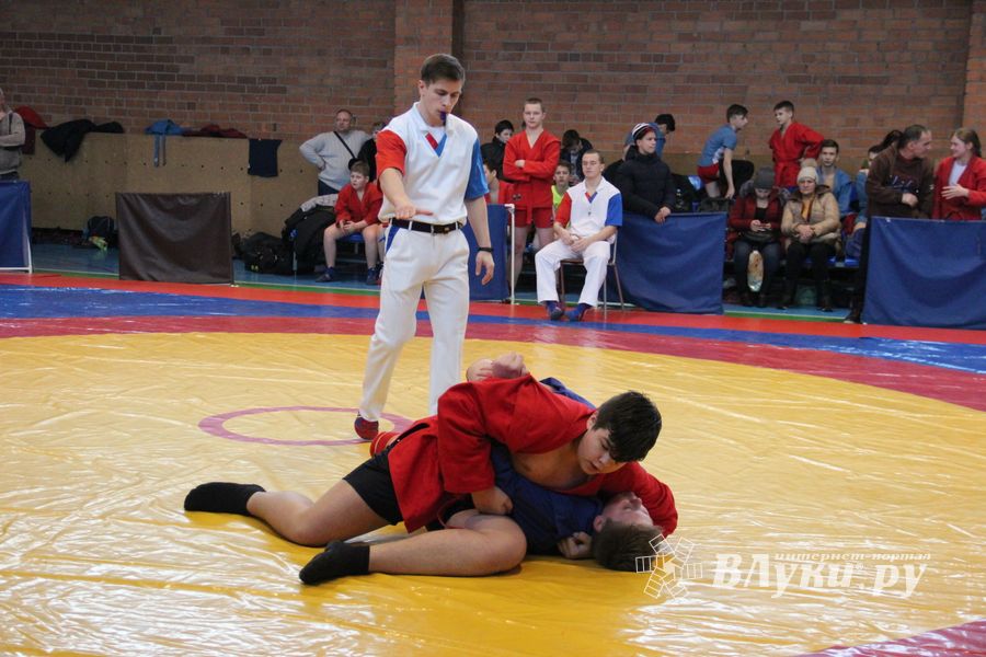 Великолукские самбисты завоевали 45 медалей на открытом первенстве города (ФОТО)