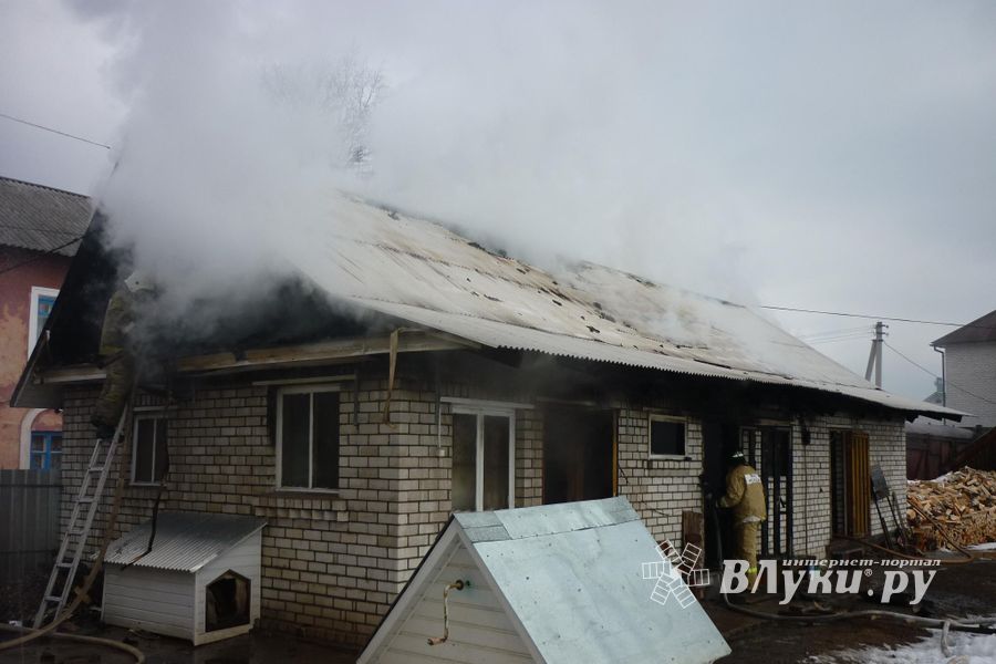 В Великих Луках сгорела хозпостройка (фото)
