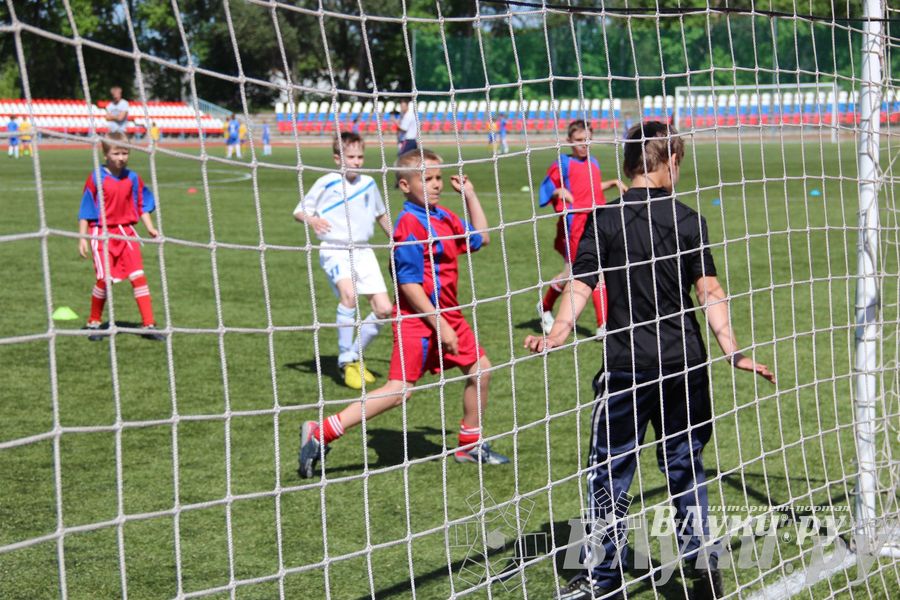 «Локобол-2013» в Великих Луках