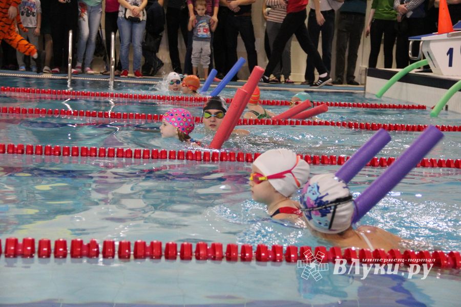 Соревнования по плаванию на призы Деда Мороза прошли в Великих Луках (ФОТО)