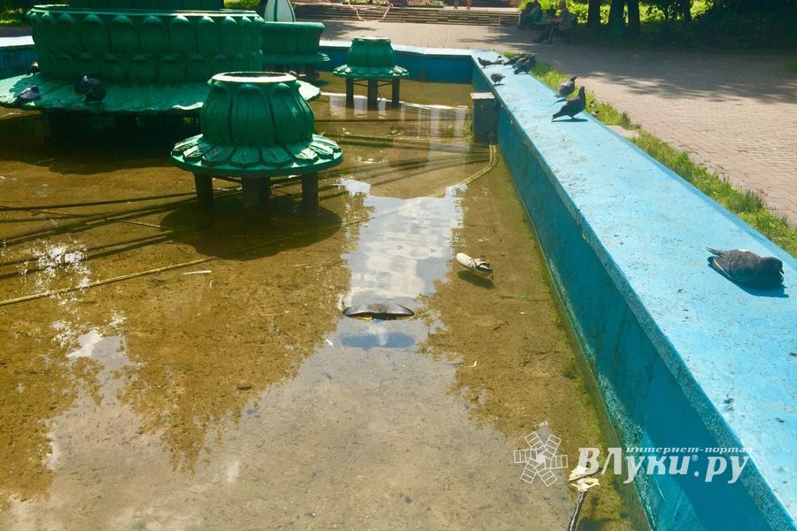 ФОТОФАКТ: Фонтан на площади Рокоссовского. Чей туфля?