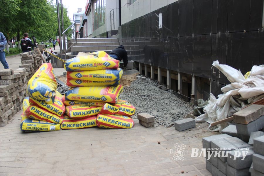 Устали ждать обещанного от властей Великих Лук и взяли дело в свои руки (ФОТО)