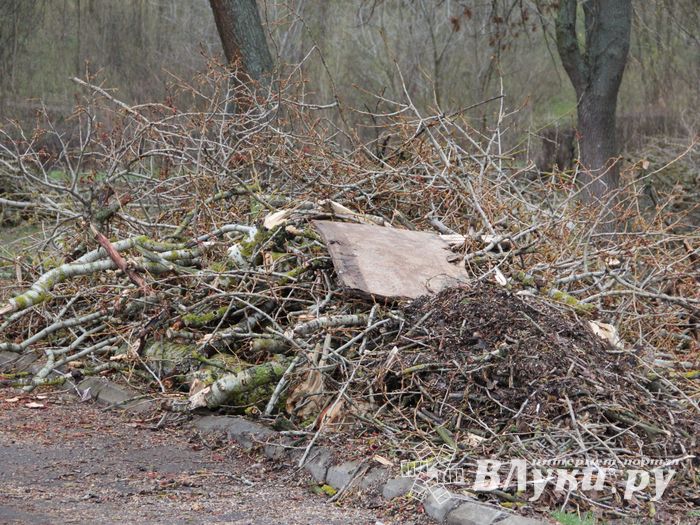 На острове Дятлинка проходит субботник