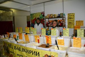 Великолукская универсальная выставка готовится к открытию