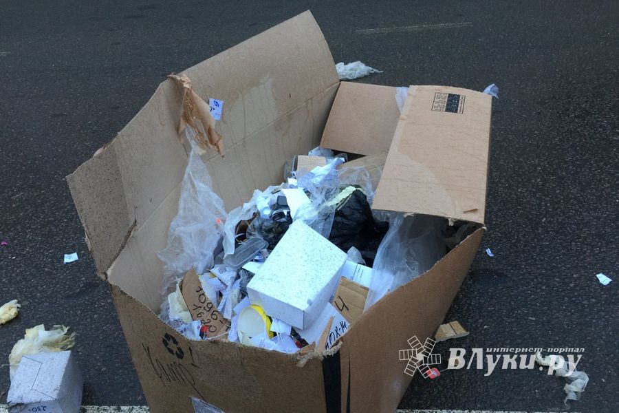 Неопознанный валяющийся объект «украсил» дорогу в Великих Луках.