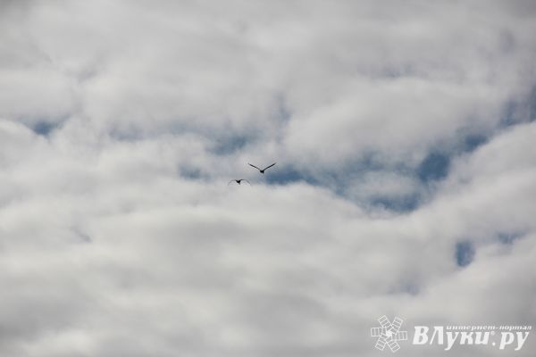 Синоптики: мы стоим только на самом пороге мощного потепления