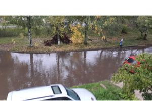 Великолучане жалуются на «упрямую» лужу размером с пруд (ФОТО)