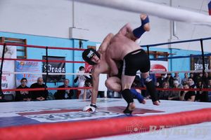 Открытый Кубок города Великие Луки по смешанному боевому единоборству (ММА)