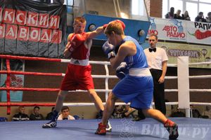 16-й Международный турнир по боксу (фото)