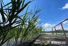 Прогноз погоды на 9 июля в Великих Луках