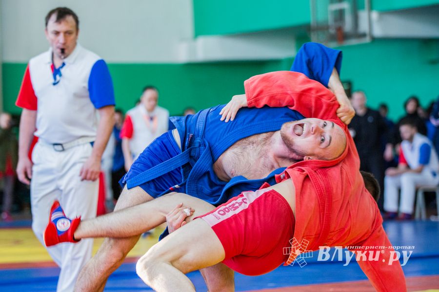 Фото: Александр Воробьев Великолучане завоевали награды Всероссийских соревнований по самбо
