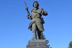 День защитника отечества в Великих Луках отметили памятным митингом и салютом