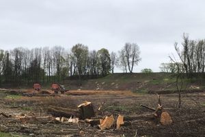 В будущем Петровском парке завершается очередной этап работ (ФОТО)