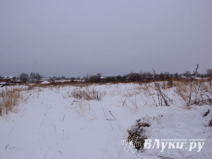 Губернатору не понравилось место для новой школы в Великих Луках (ФОТО)