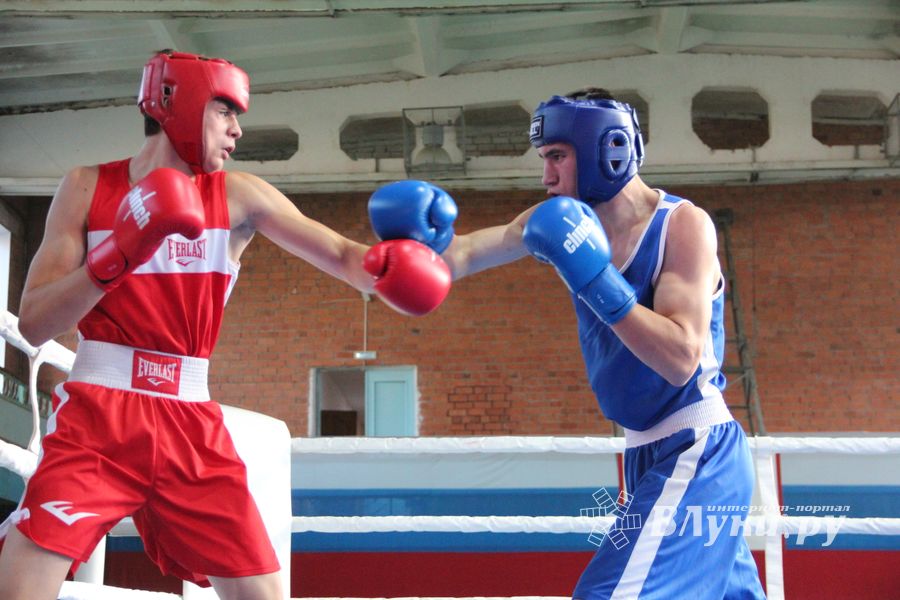 В Великих Луках прошел турнир по боксу памяти Е. Клевцова (ФОТО)