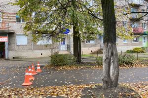 В Великих Луках на улице Зверева обновляют тротуар (ФОТО)