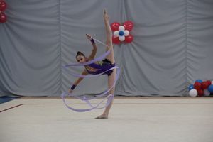 ​В Великих Луках прошли соревнования по художественной гимнастике (ФОТО)