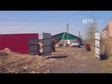 Импульс-ТВ: Приют для животных. Восстановление продолжается