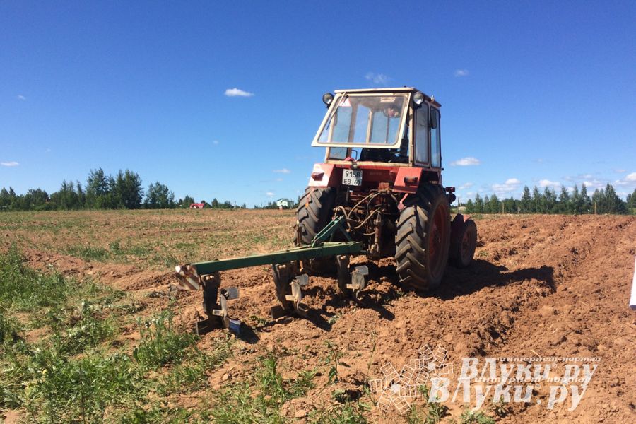 Фото предоставлено комитетом по молодежной политике и спорту г. Великие Луки
