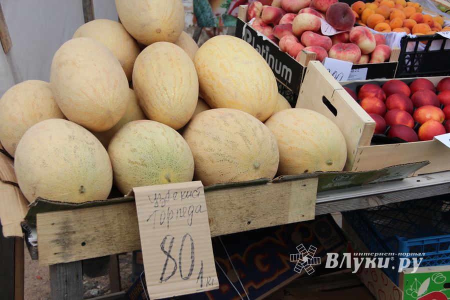 В Великих Луках проверили бахчевые (ФОТО)