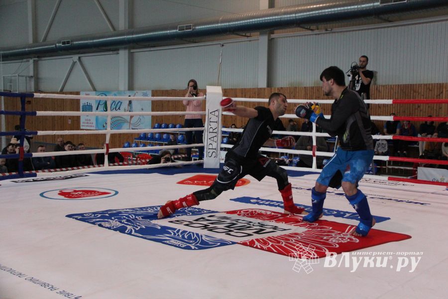 Открытый кубок по смешанному боевому единоборству ММА прошел в Великих Луках (ФОТО)