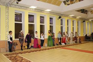 Всероссийская выставка собак в Великих Луках (фото)