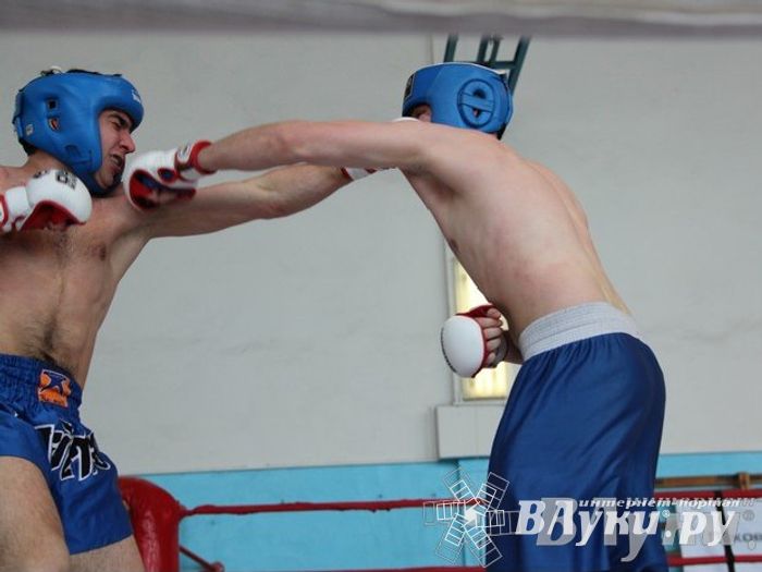 Чемпионат Псковской области по ММА