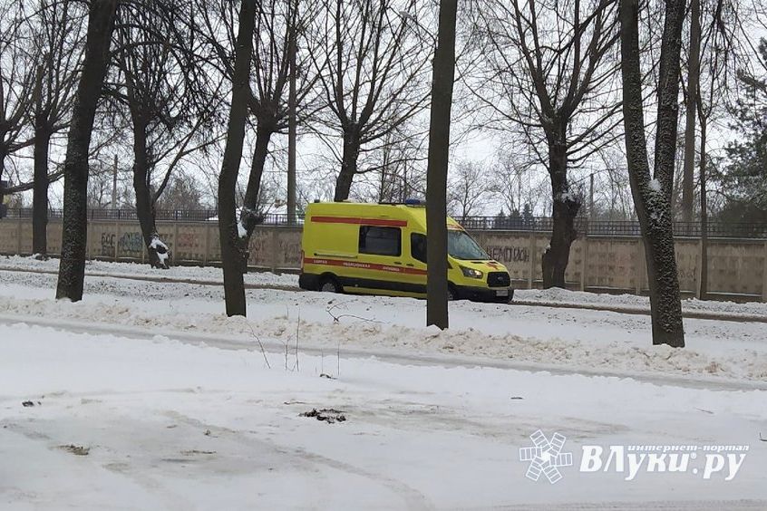 © ВЛуки.ру