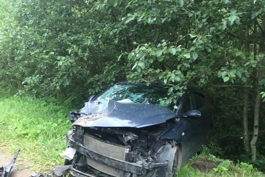 ДТП с пострадавшим в Великолукском районе (ФОТО)