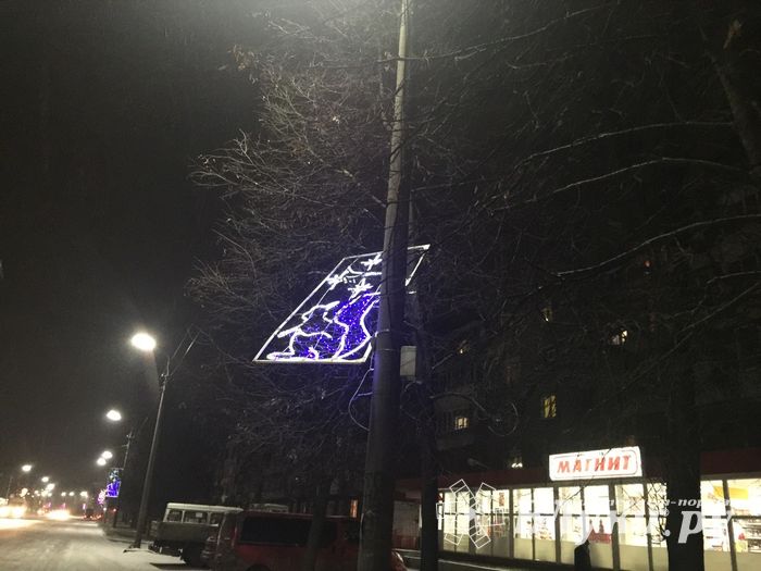 Великолукских белок не выдерживают уличные столбы (ФОТО)