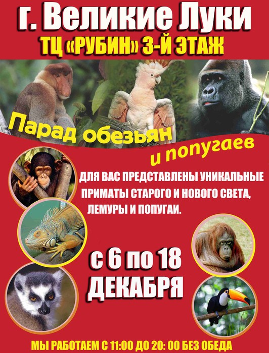 Выставка-зоопарк «Парад обезьян и попугаев» (0+)