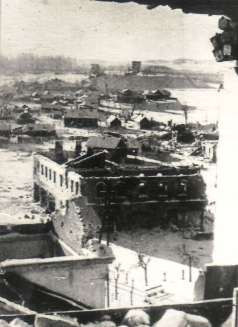 Вид с верхнего этажа дома по улице Некрасова на остров Дятлинка на реке Ловать.